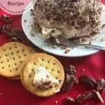 White plate that hold a cheeseball that is covered in pecans with a cheese knife. Pecans and crackers are in front of the plate.