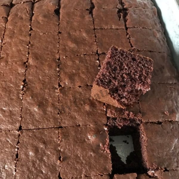 Chocolate cake cut into 1 inch squares.