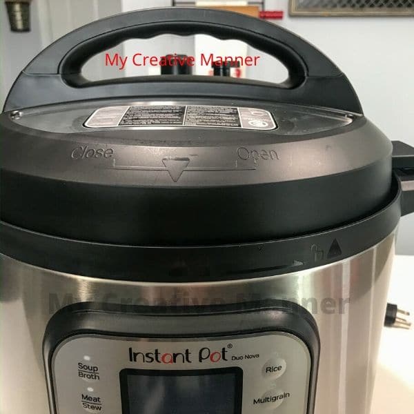 A close up of the lid of an Instant Pot.