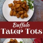 Buffalo tater tots in a white plate.