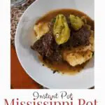 An overhead shot of roast beef over mashed potatoes.
