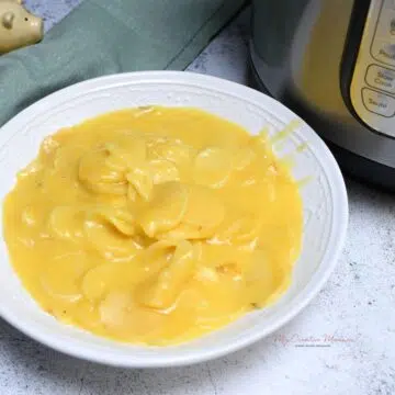 An overhead shot of the recipe in a bowl with a pressure cooker next to it.