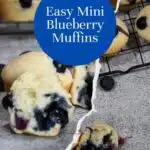 A blue circle with the words easy mini blueberry muffins overtop of the image of mini muffins.