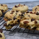 Close up of a pecan coconut cookie with chocolate chips split in half.